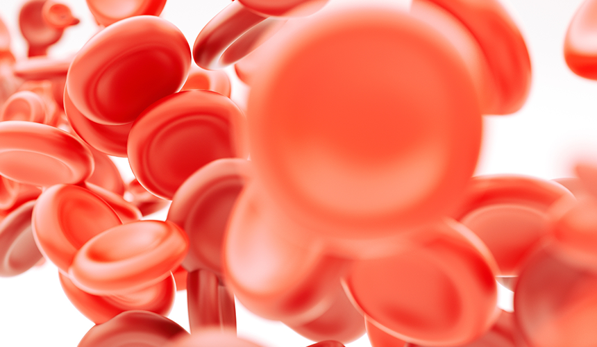 血液采集專(zhuān)業(yè)